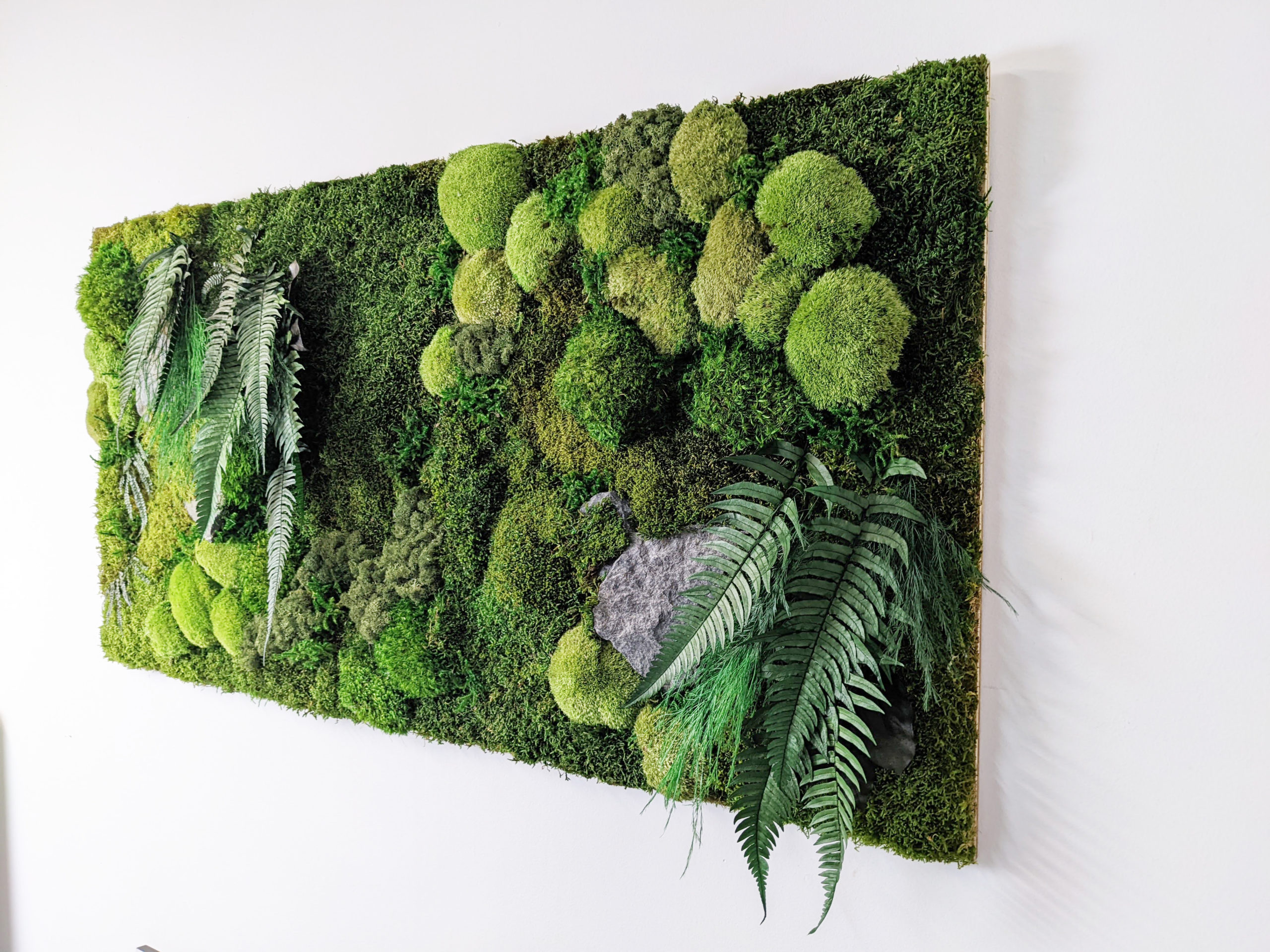 Moss Wall Large Residential